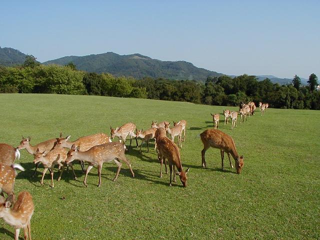 背景画像