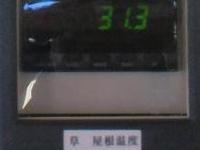 芝生の温度は30度