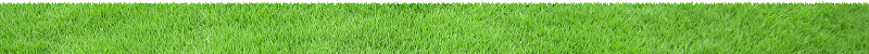 ���S