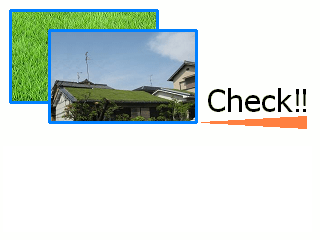 �Ă͗������~�g�������������ǂ���