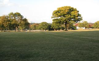 万博公園のイギリス風景式庭園