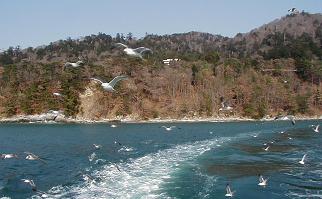 宮城