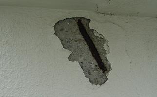 露筋
