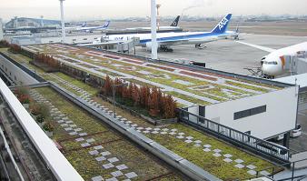 伊丹空港セダム遠景