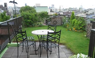 薄層芝緑化
