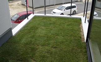 oPu