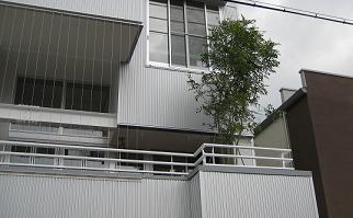 樹木